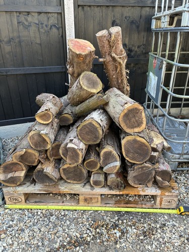 Yew logs wood - yew, turning