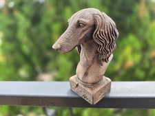 Saluki Bust