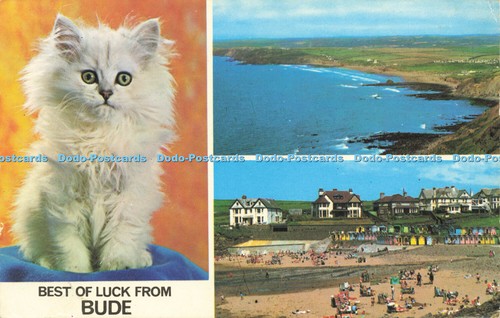 R581166 best luck - luck, bude