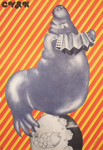 Cyrk walrus playing - cyrk, accordion