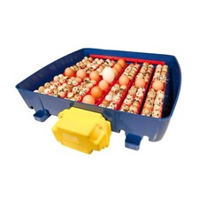 Borotto real incubator - borotto,