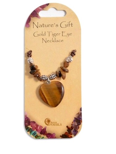 Nature gift british fossils - british,
