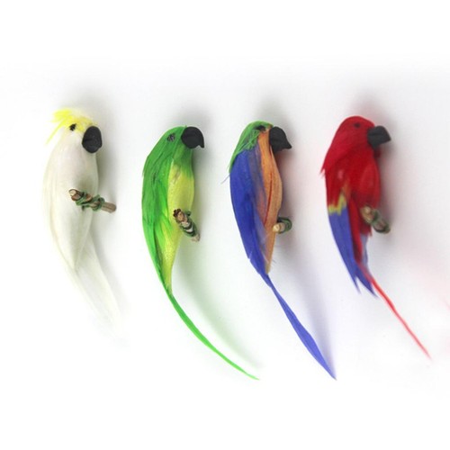 Simulation parrot 12 - simulation, 1/12