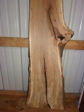 1 PC RUSTIC BEECH SLAB AIR
