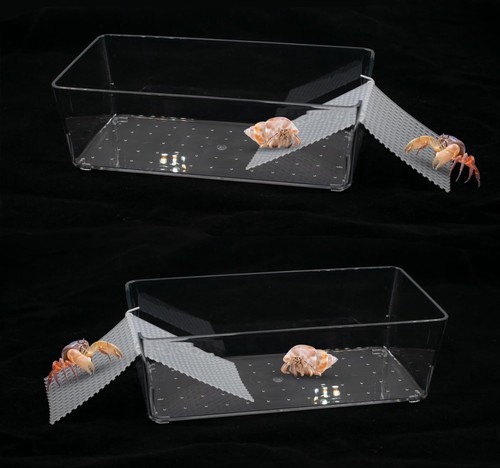 Pack large transparent - pack,