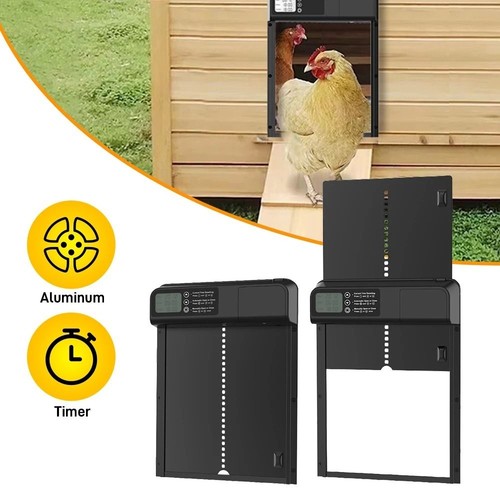 Automatic chicken coop - automatic,