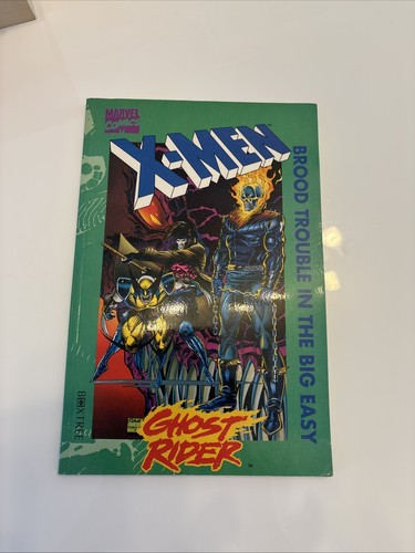 Men ghost rider brood - ghost,
