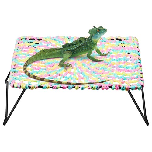 Bearded dragon bedding pet - bearded,