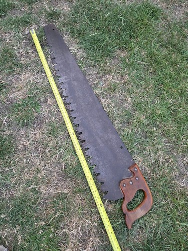 Vintage logging saw forrestry - logging,