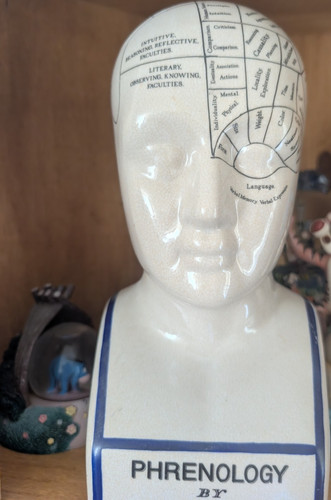 Ceramic glazed phrenology head - ceramic,