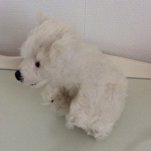 Vintage pedigree polar bear - pedigree,