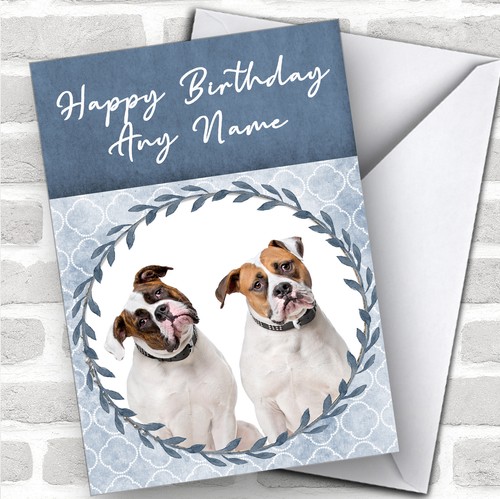 American bulldog dog blue - dog,