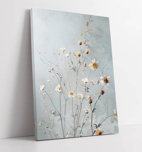 Delicate pretty daisy flowers - pretty,