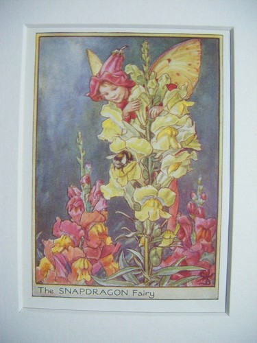 Vintage flower fairies print - vintage,