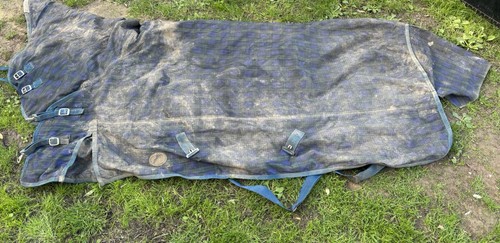 Jumpers horse line - jumpers,