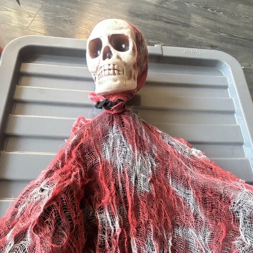 Halloween hanging skeleton - halloween,