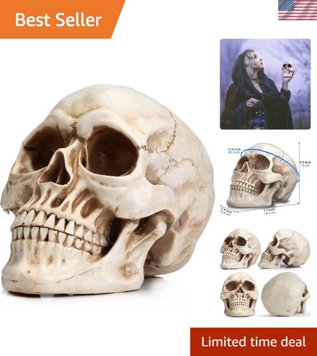Classic realistic human - realistic,