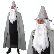 Adult Wizard Grey Halloween