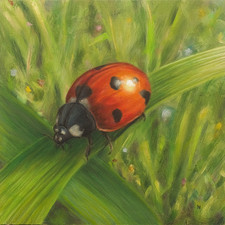 Ladybird oil painting on