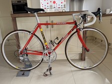 RALEIGH Ti - TEAM REPLICA