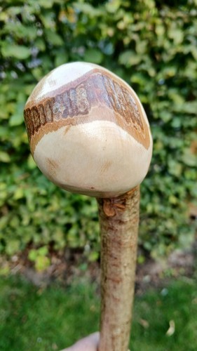 Hazel shillelagh walking - shillelagh,