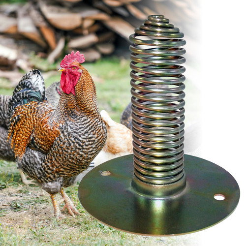 Poultry spring feeder gravity - spring,