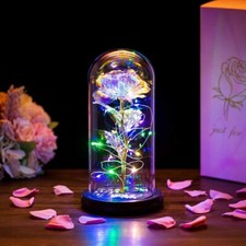 Eternal Rose in Glass Dome LED Light Birthday Gifts Mothers Day Women Girlfriend