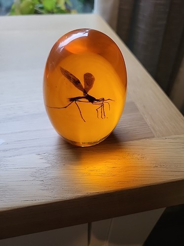 Jurassic park prop mosquito - park,