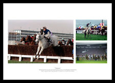 Desert Orchid Montage Horse Racing Legends Photo Memorabilia (DOMU01)