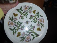 Portmeirion Botanic Garden