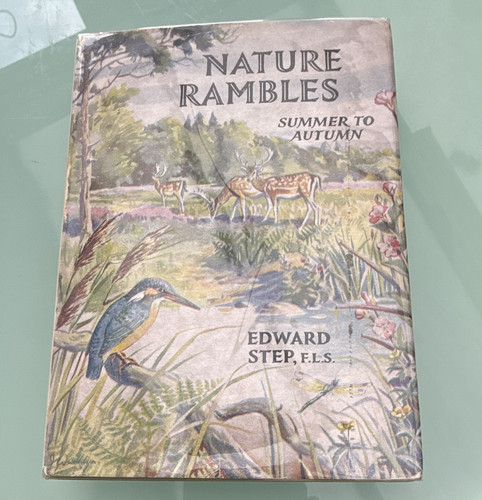 Edward step nature - step, rambles