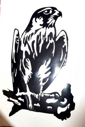 Bird prey hawk decal - bird, of