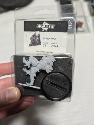 Privateer press mini - mini,