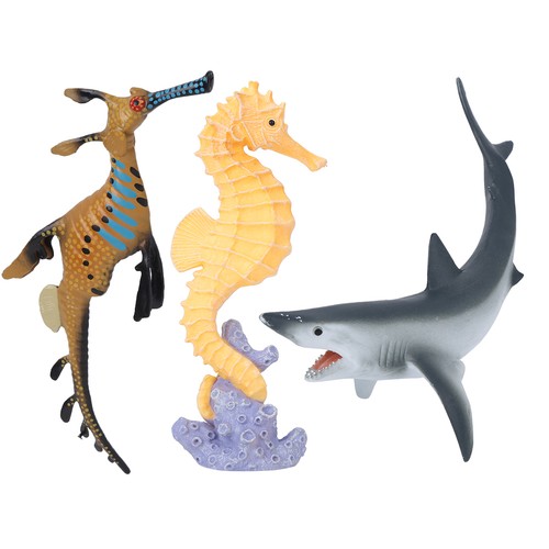 Types ocean sea life - 3,