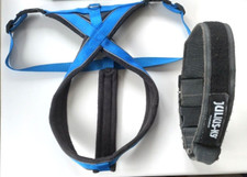 Julius-K9 Large 50mm Collar 47-67cm with Handle, Safety Lock & Padded Harness