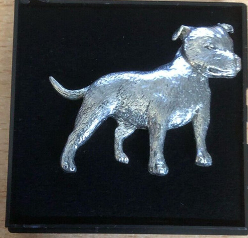 Staffy staffordshire bull - staffy,