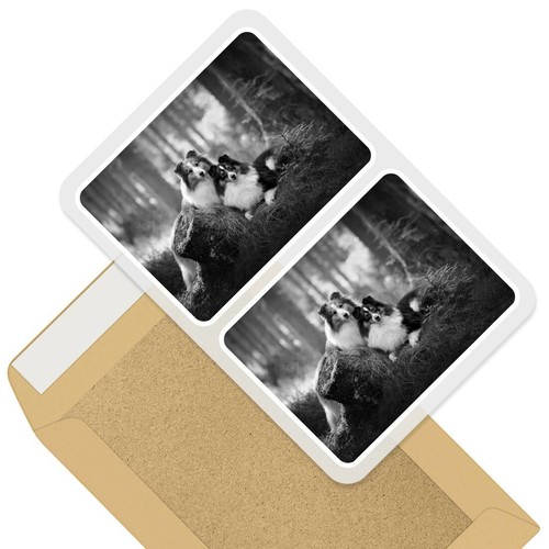 Rectangle stickers 10cm bw - rectangle,