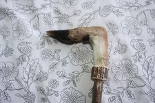 Deer foot handle twisty walking stick