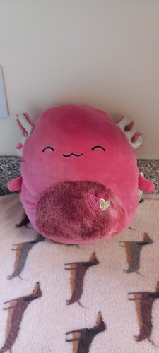 Squishmallow indiemae axolotl - squishmallow,