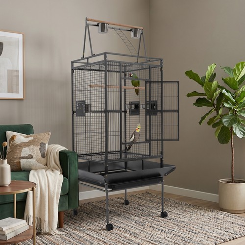 Wrought iron large parrot - wrought,