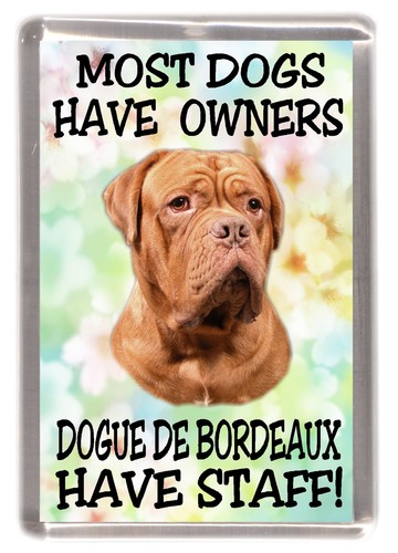 Dogue bordeaux dog fridge - dog,