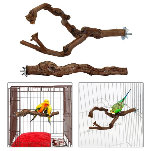 Parrot stand tree branch - stand,