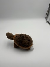 The Petting Zoo Tortoise