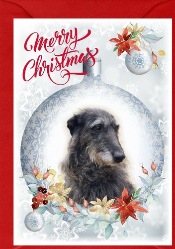 Deerhound dog - deerhound,