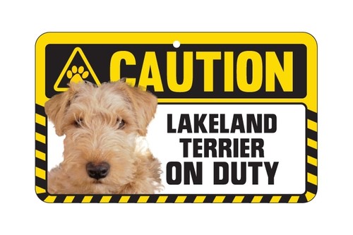 Dog sign caution beware - dog,