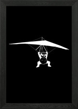Hang gliding panda Framed Wall