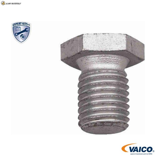 Locking screw oil pan - screw,
