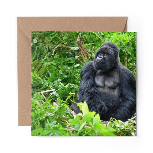 Blank greeting card - 1, x