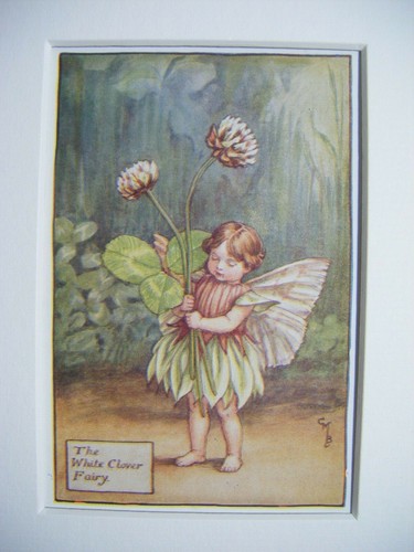 White clover fairy vintage - clover,