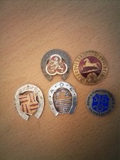 Vintage German  Horseracing Enamel Members Member Medals X 5 Inc 1895 ❤️ CHARITY